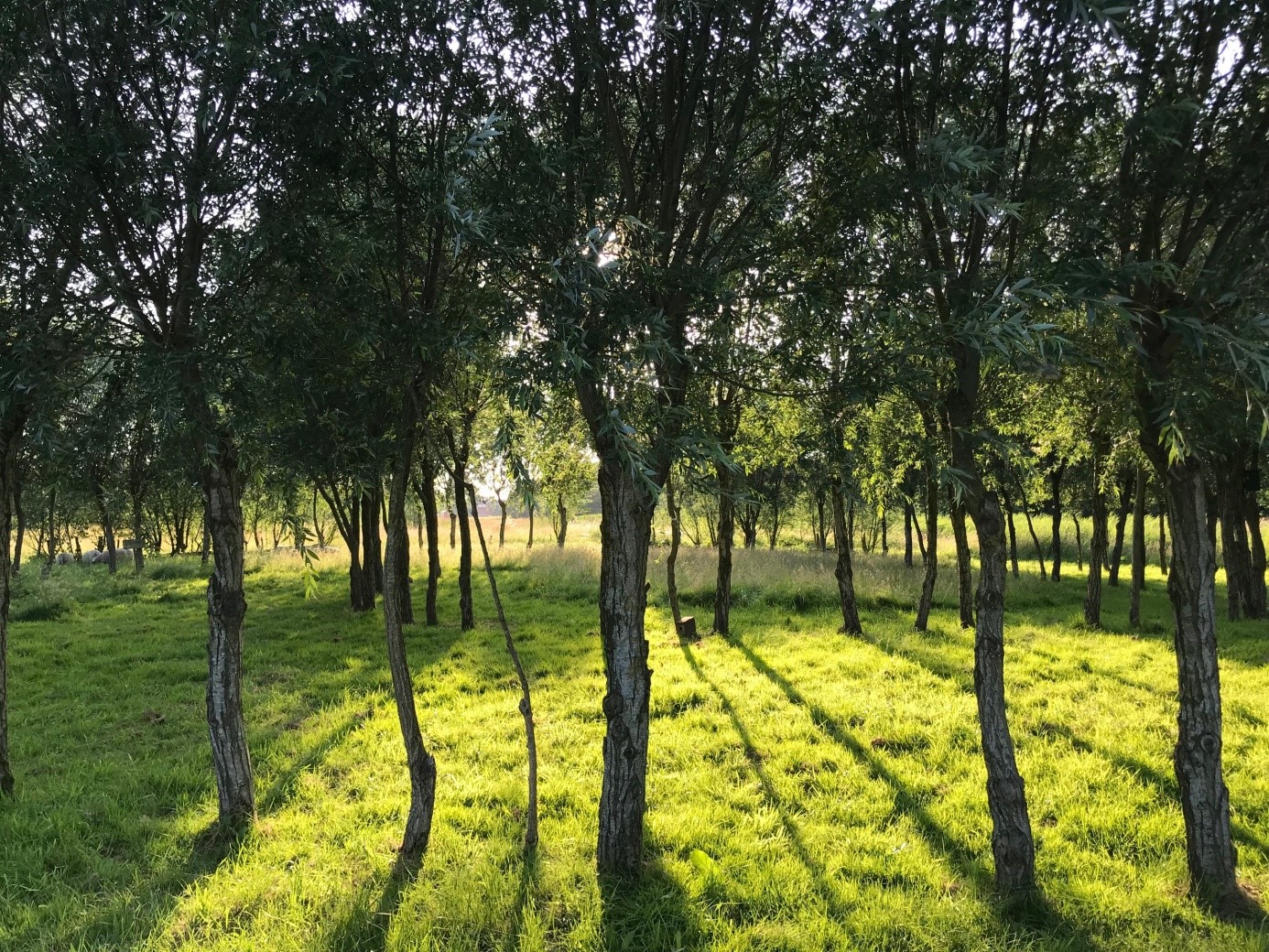 Lezing ' Uitzicht Op Inzicht